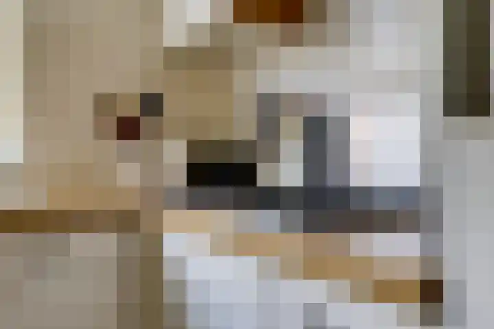 Steenbeekstraat 35 Zetten thumbnail 26