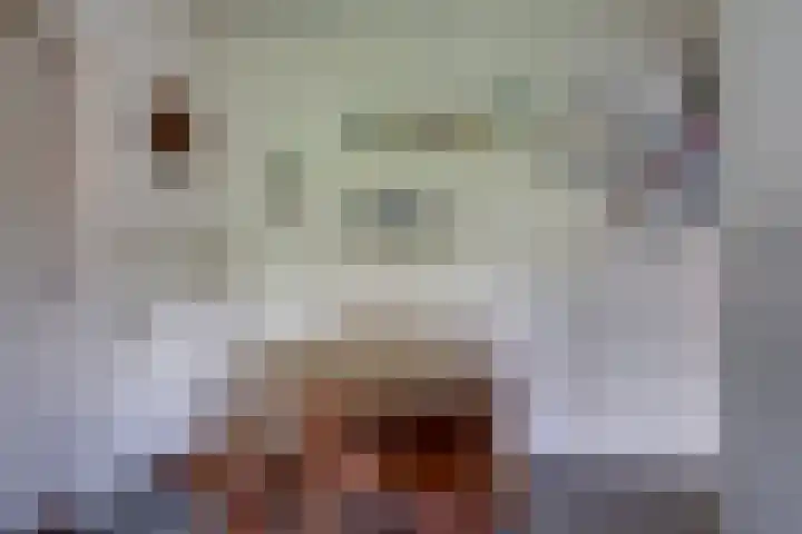 Steenbeekstraat 35 Zetten thumbnail 27