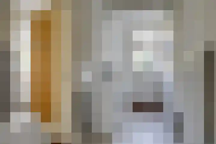 Steenbeekstraat 35 Zetten thumbnail 28
