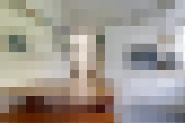 Steenbeekstraat 35 Zetten thumbnail 29