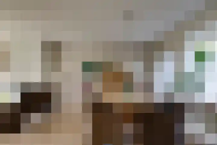 Steenbeekstraat 35 Zetten thumbnail 30