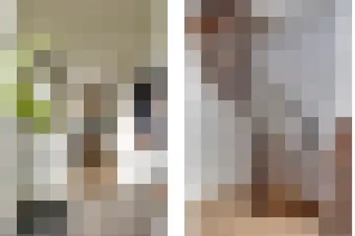 Steenbeekstraat 35 Zetten thumbnail 31
