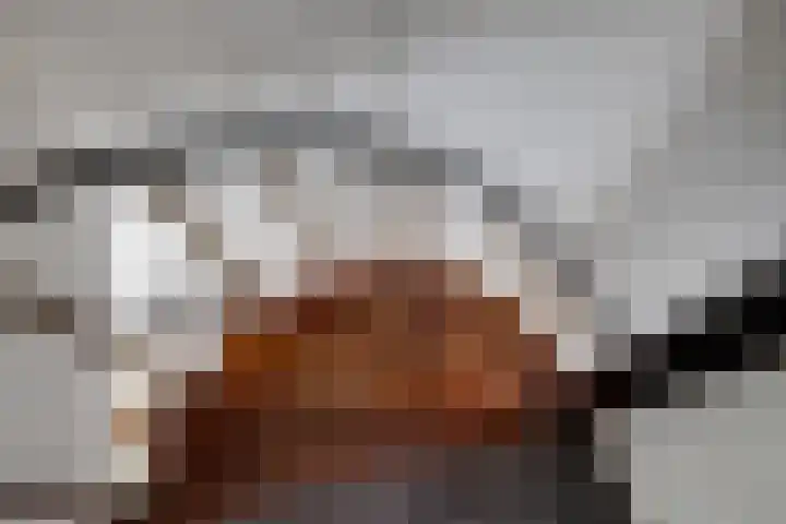 Steenbeekstraat 35 Zetten thumbnail 32