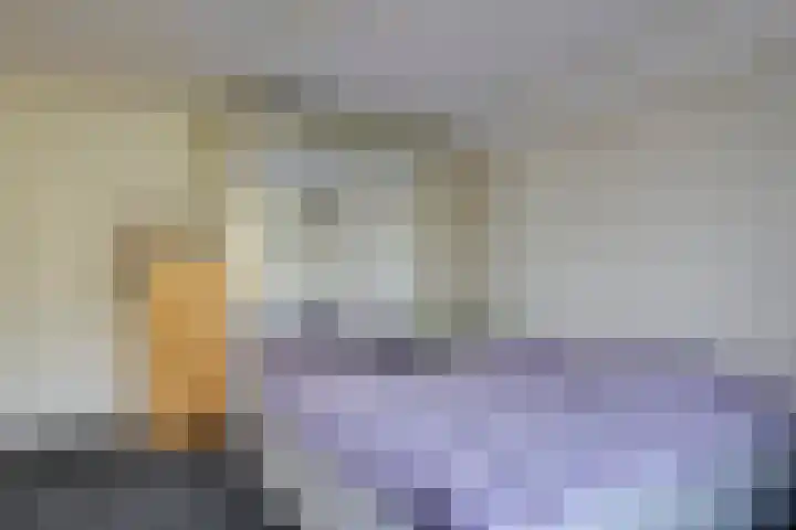 Steenbeekstraat 35 Zetten thumbnail 36