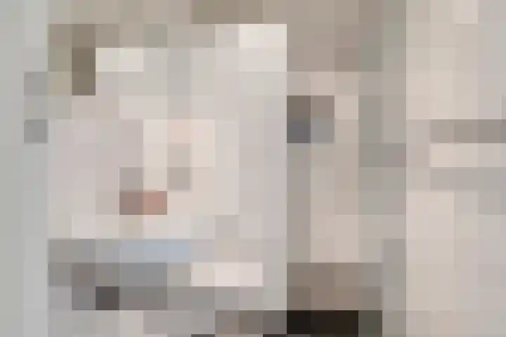 Steenbeekstraat 35 Zetten thumbnail 37