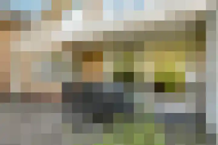 Steenbeekstraat 35 Zetten thumbnail 54