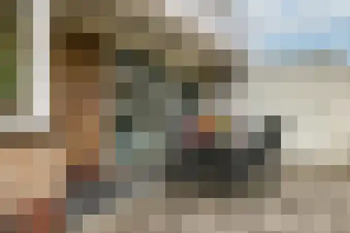 Steenbeekstraat 35 Zetten thumbnail 55