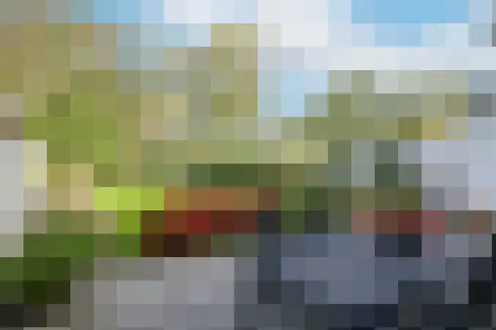 Steenbeekstraat 35 Zetten thumbnail 56