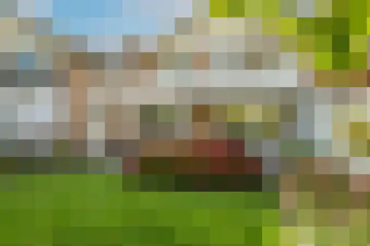 Steenbeekstraat 35 Zetten thumbnail 57