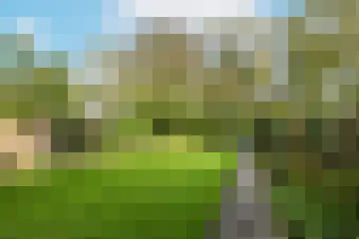 Steenbeekstraat 35 Zetten thumbnail 58
