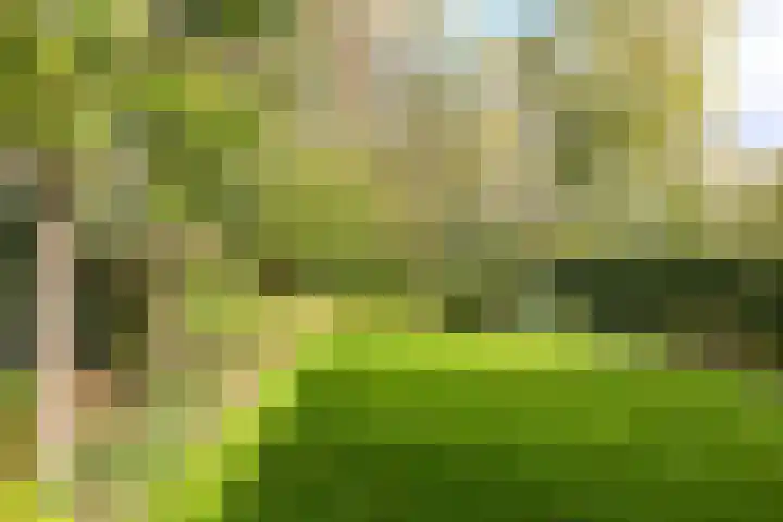 Steenbeekstraat 35 Zetten thumbnail 59
