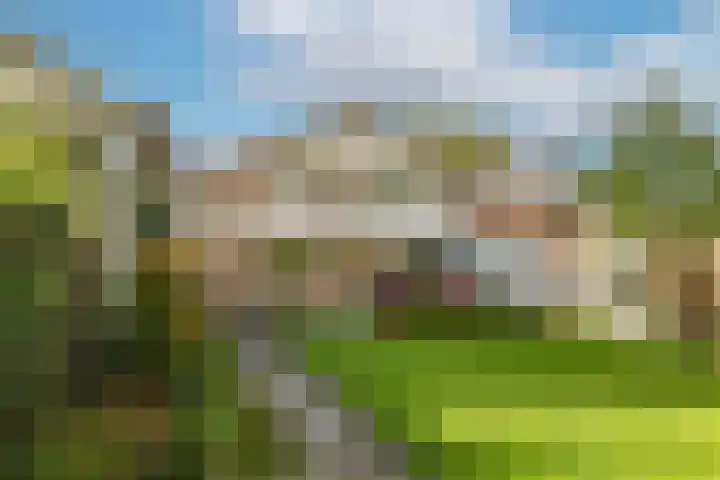Steenbeekstraat 35 Zetten thumbnail 61