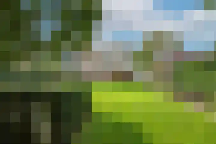 Steenbeekstraat 35 Zetten thumbnail 64
