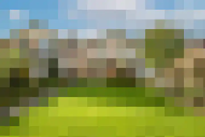 Steenbeekstraat 35 Zetten thumbnail 65