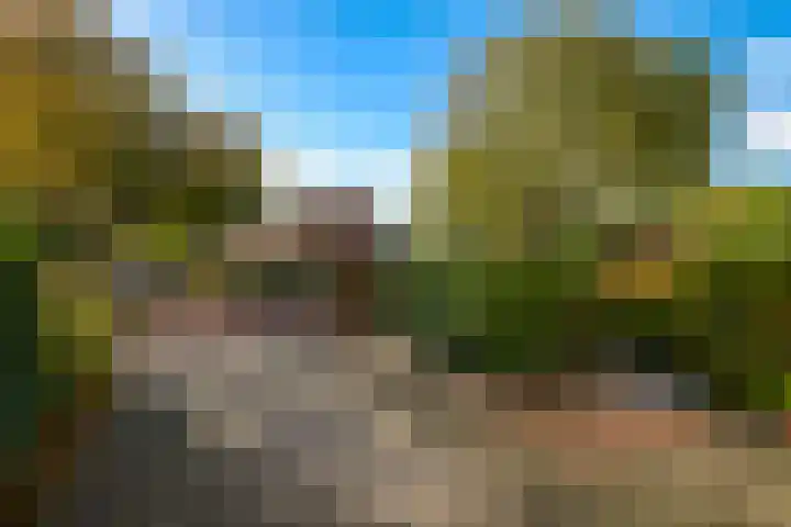Steenbeekstraat 35 Zetten thumbnail 69