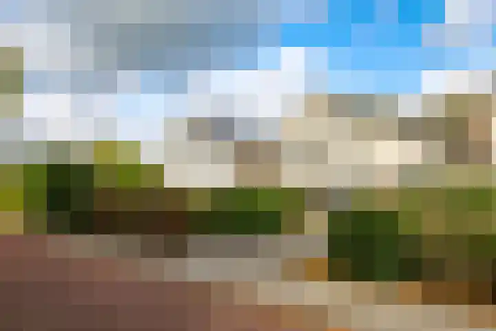 Steenbeekstraat 35 Zetten thumbnail 73