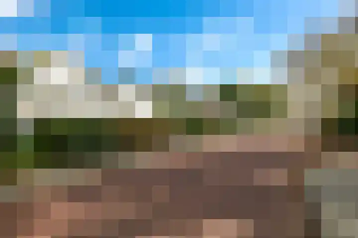 Steenbeekstraat 35 Zetten thumbnail 75