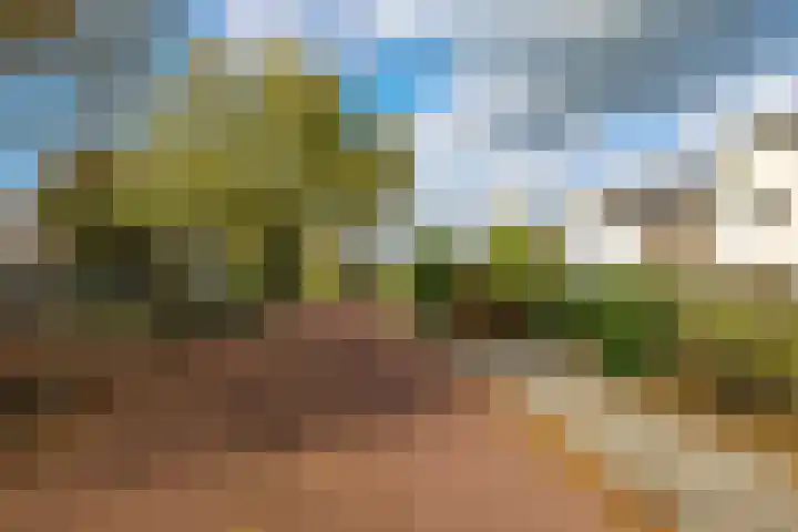 Steenbeekstraat 35 Zetten thumbnail 76