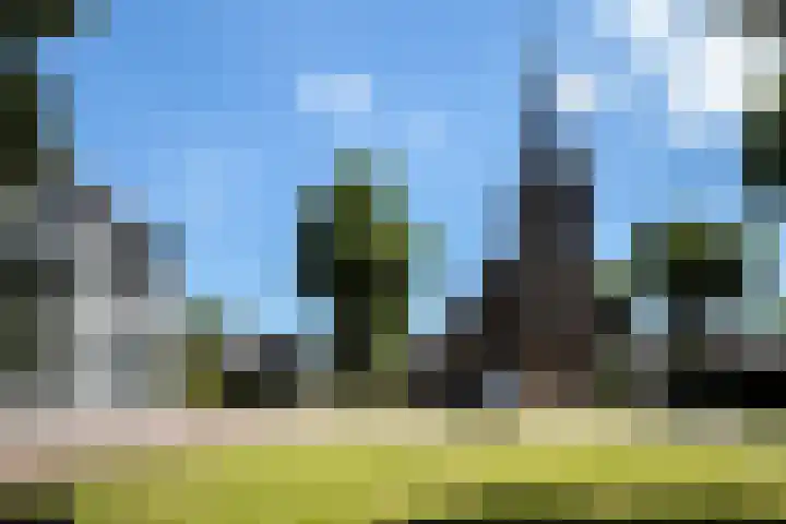 Steenbeekstraat 35 Zetten thumbnail 83