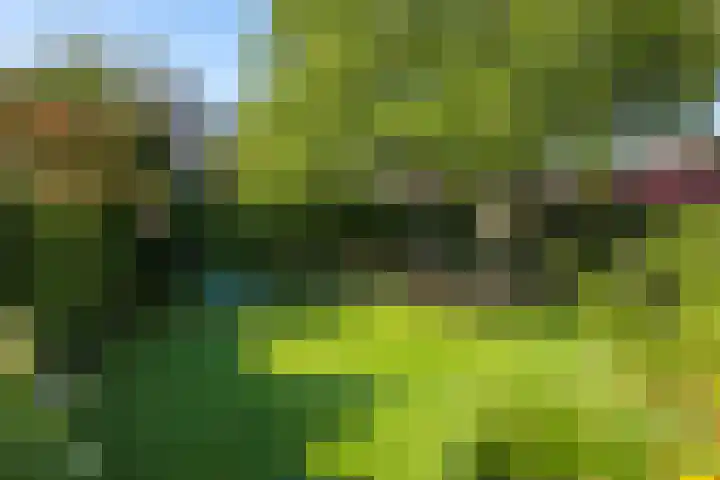 Steenbeekstraat 5 Zetten thumbnail 11
