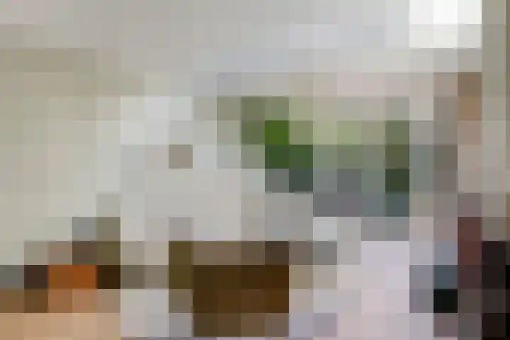 Steenbeekstraat 5 Zetten thumbnail 18