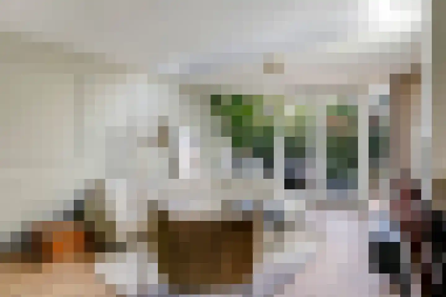 Steenbeekstraat 5 Zetten thumbnail 18