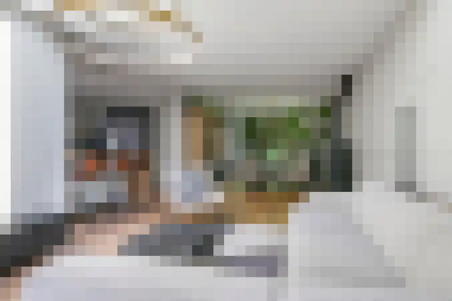 Steenbeekstraat 5 Zetten thumbnail 20
