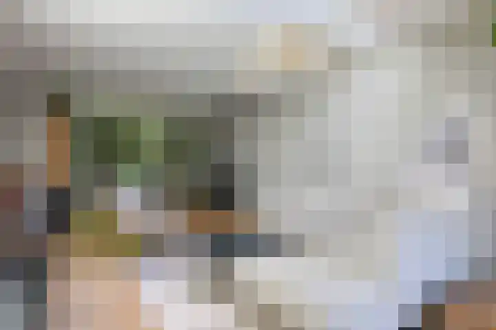 Steenbeekstraat 5 Zetten thumbnail 21