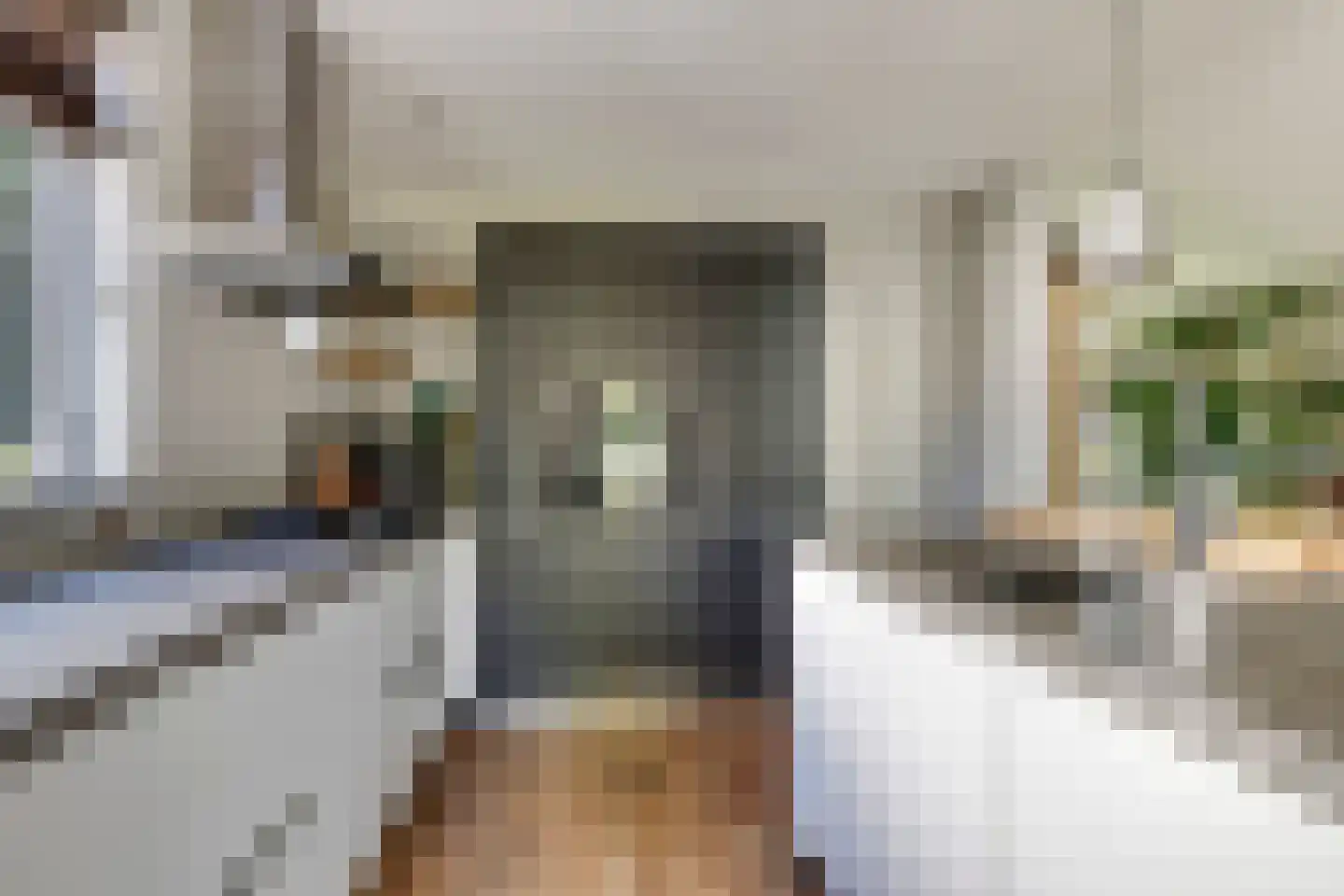 Steenbeekstraat 5 Zetten thumbnail 23