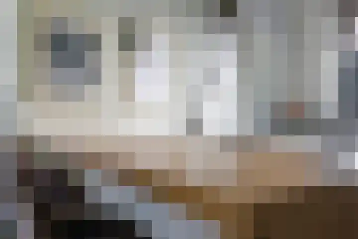Steenbeekstraat 5 Zetten thumbnail 27