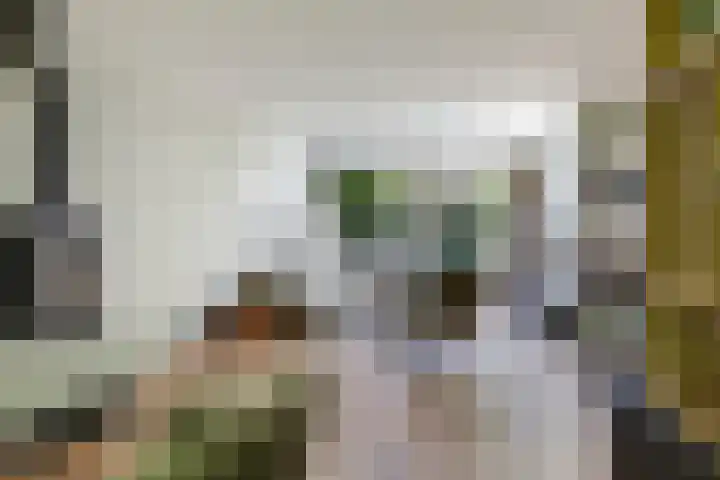 Steenbeekstraat 5 Zetten thumbnail 30