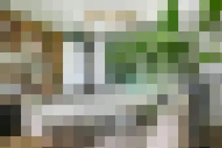 Steenbeekstraat 5 Zetten thumbnail 32