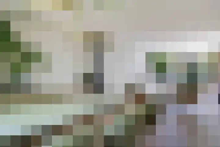 Steenbeekstraat 5 Zetten thumbnail 33