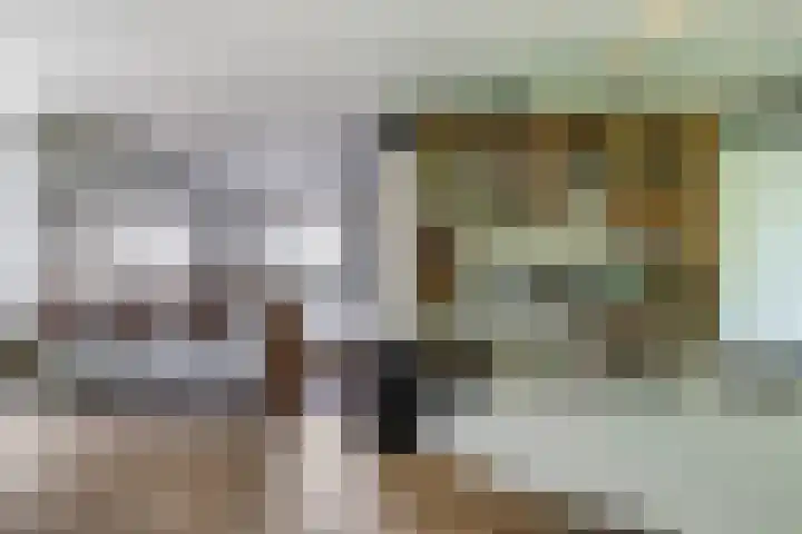 Steenbeekstraat 5 Zetten thumbnail 34