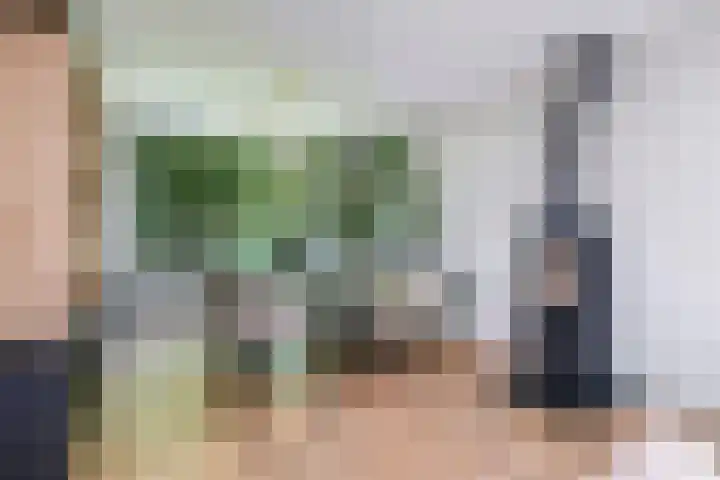 Steenbeekstraat 5 Zetten thumbnail 4