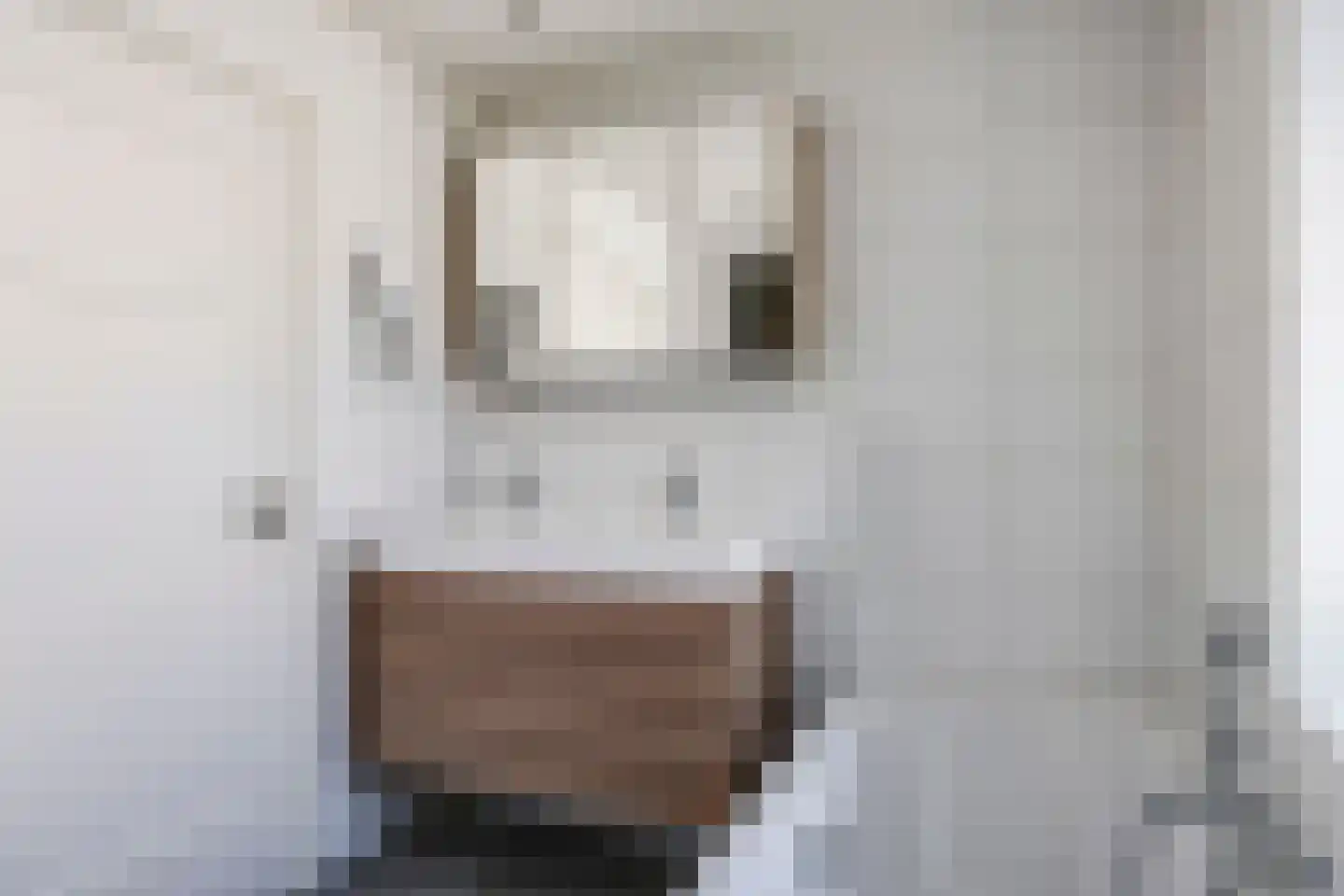 Steenbeekstraat 5 Zetten thumbnail 44