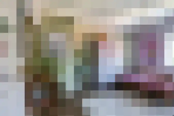 Steenbeekstraat 5 Zetten thumbnail 45