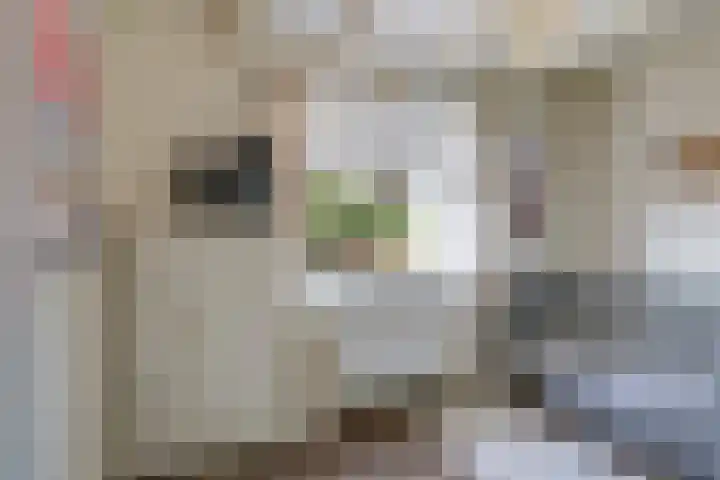 Steenbeekstraat 5 Zetten thumbnail 47