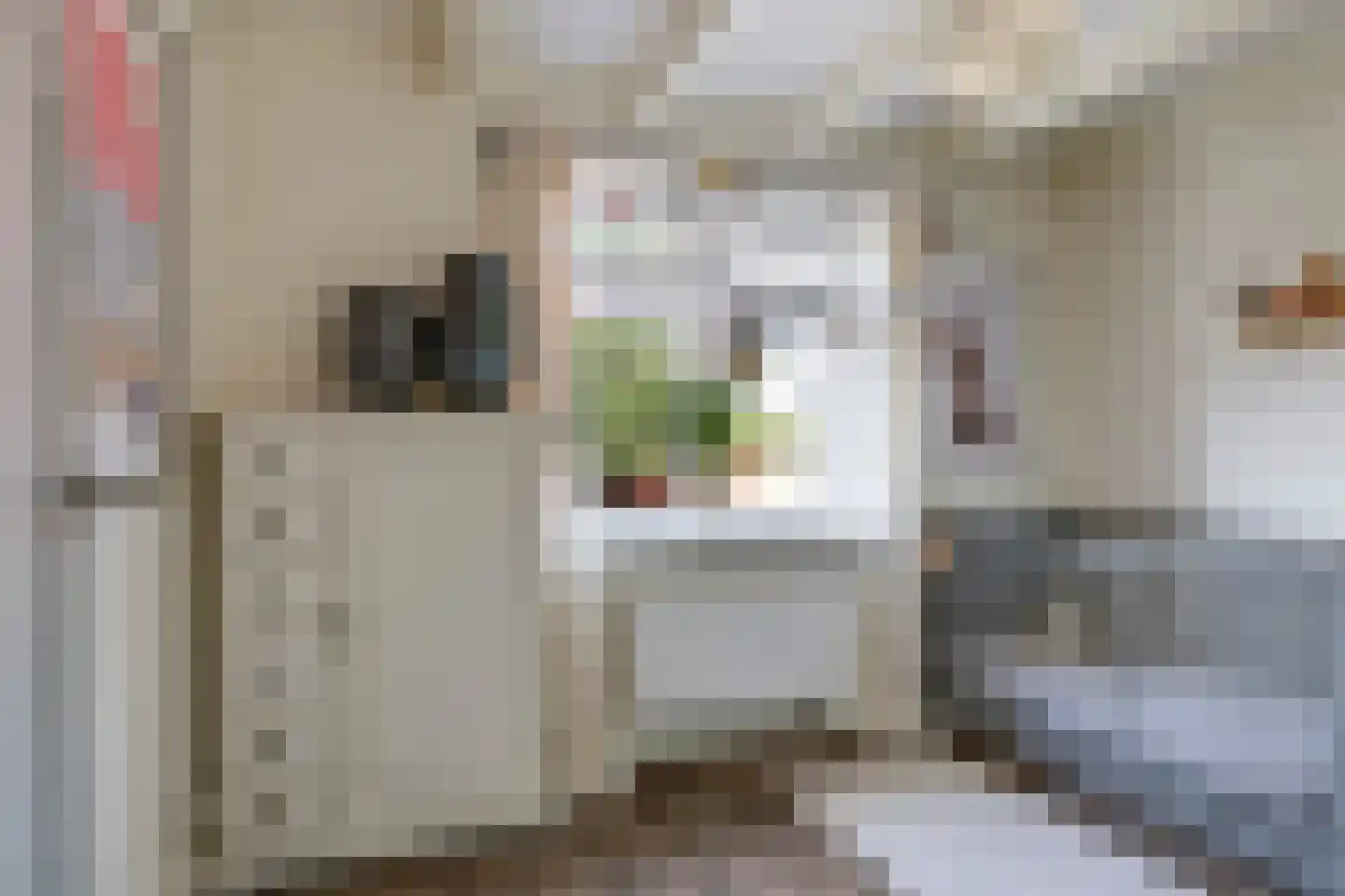 Steenbeekstraat 5 Zetten thumbnail 47