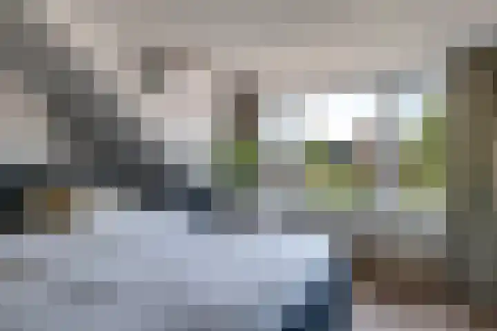 Steenbeekstraat 5 Zetten thumbnail 52