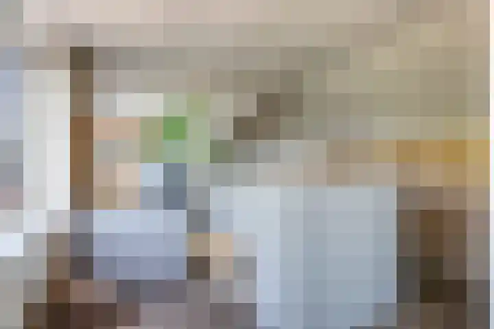 Steenbeekstraat 5 Zetten thumbnail 54
