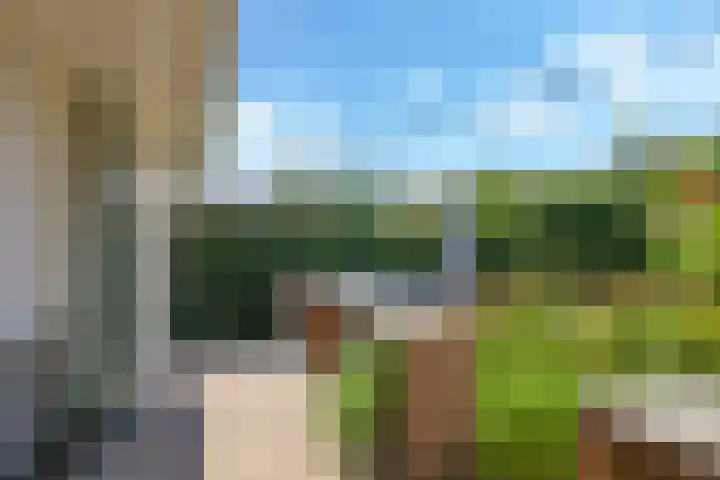 Steenbeekstraat 5 Zetten thumbnail 61