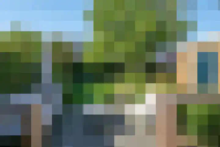 Steenbeekstraat 5 Zetten thumbnail 62