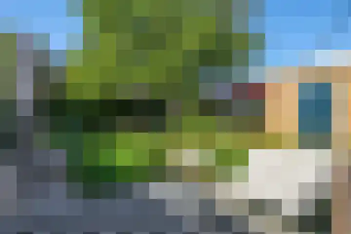 Steenbeekstraat 5 Zetten thumbnail 63