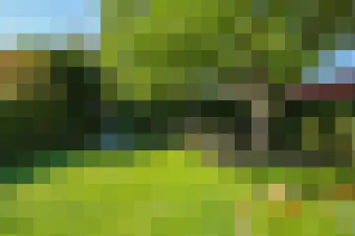 Steenbeekstraat 5 Zetten thumbnail 65
