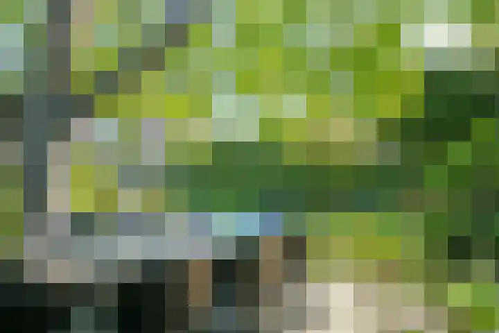 Steenbeekstraat 5 Zetten thumbnail 67