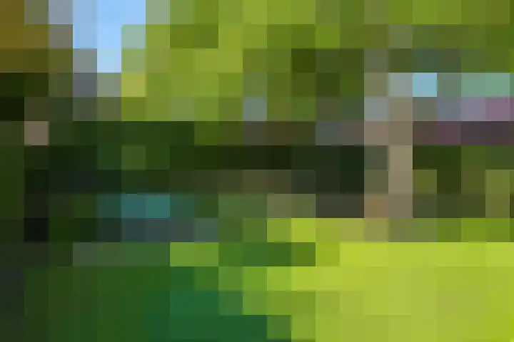 Steenbeekstraat 5 Zetten thumbnail 68