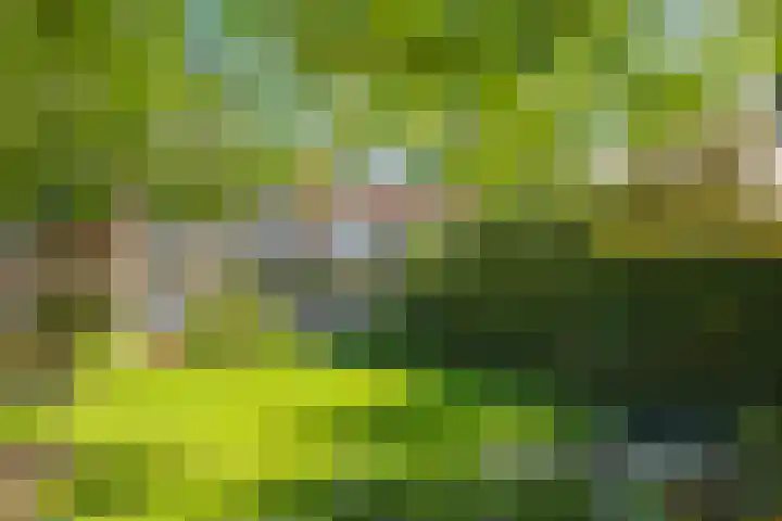 Steenbeekstraat 5 Zetten thumbnail 70