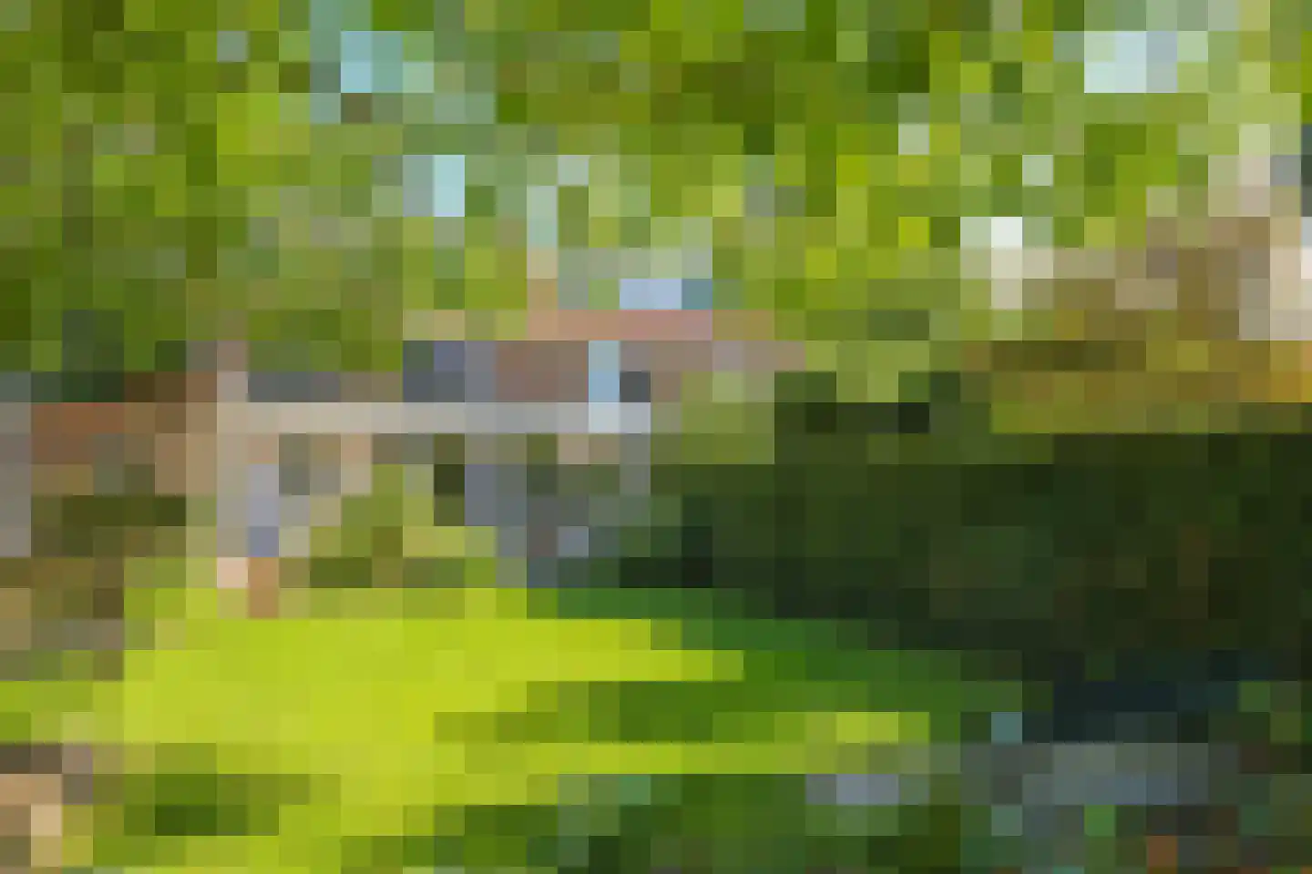 Steenbeekstraat 5 Zetten thumbnail 70
