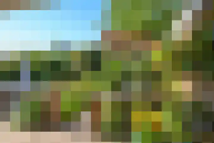 Steenbeekstraat 5 Zetten thumbnail 74